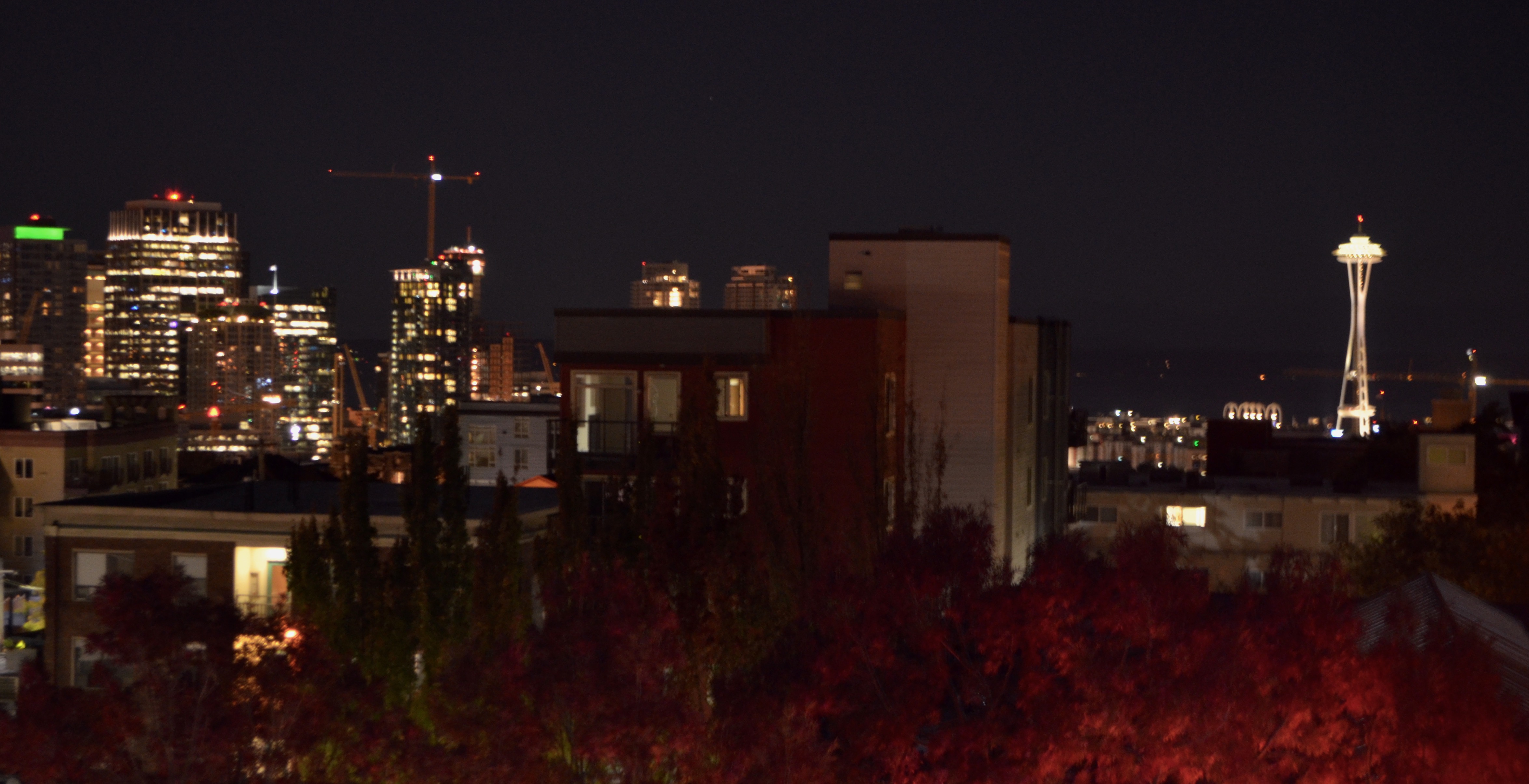 DSC_0499
